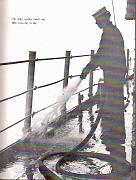 Cruise68-024