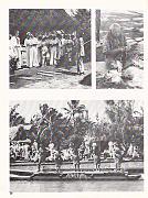 Cruise68-033