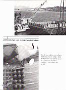 Cruise68-039