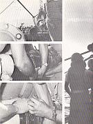 Cruise68-049