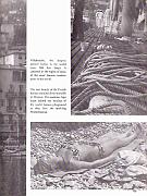 Cruise68-111