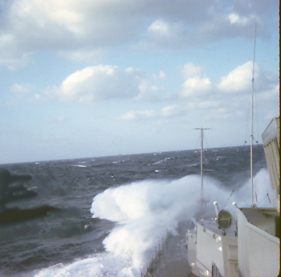 1SeaLife_101.JPG