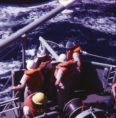 1SeaLife_103.JPG