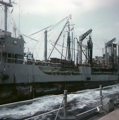 1SeaLife_118.JPG