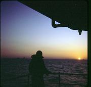 1SeaLife_126