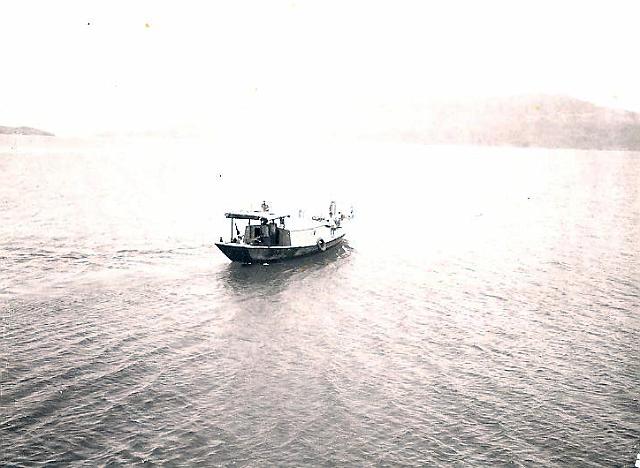 aHollifield3.jpg