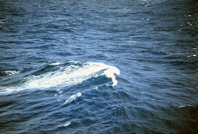 S19651114033.JPG